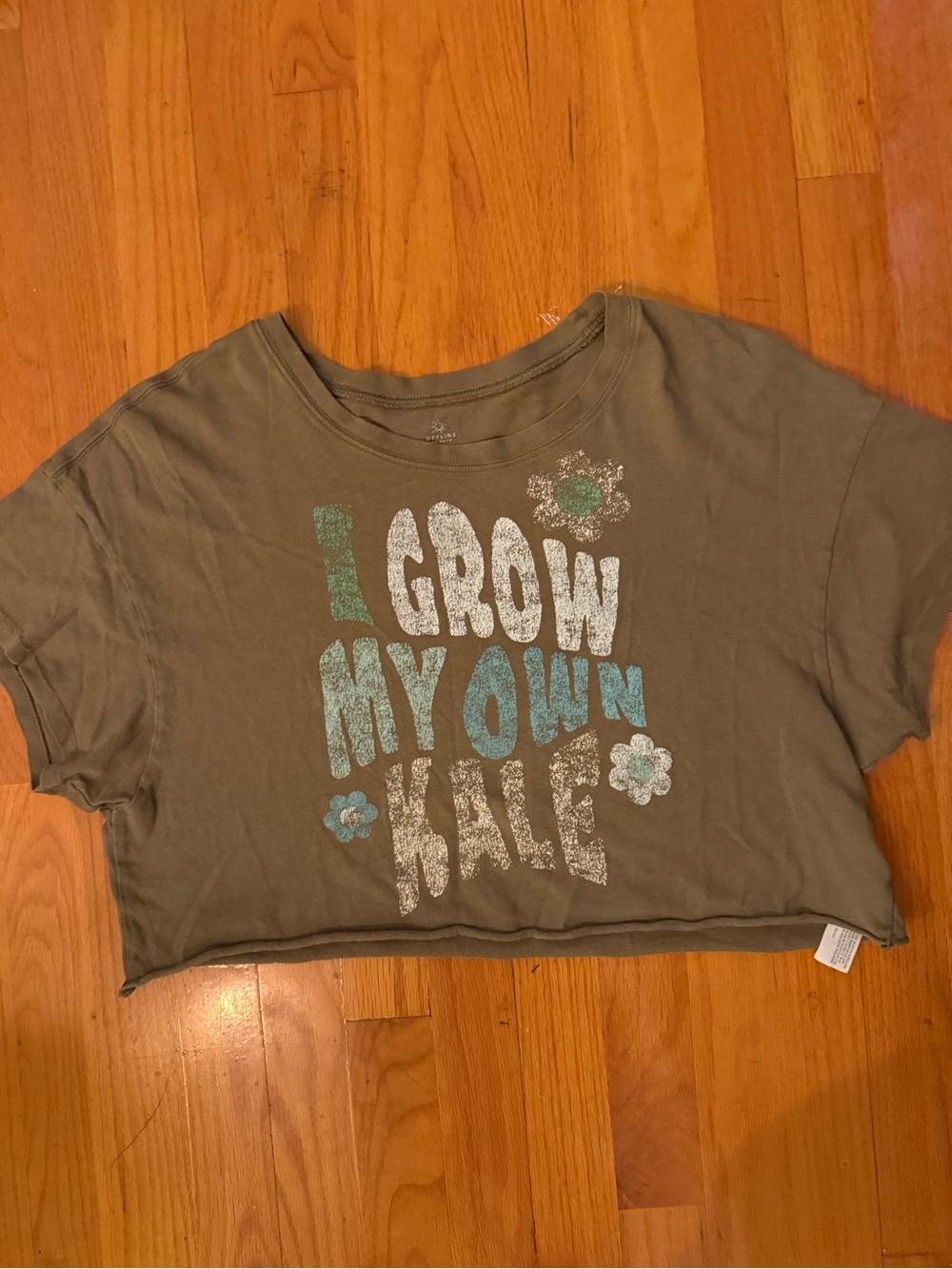 aerie Olive Green Graphic Crop Tee with Blue & White Glitter